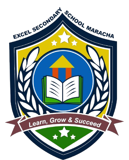 excel secondary school logo